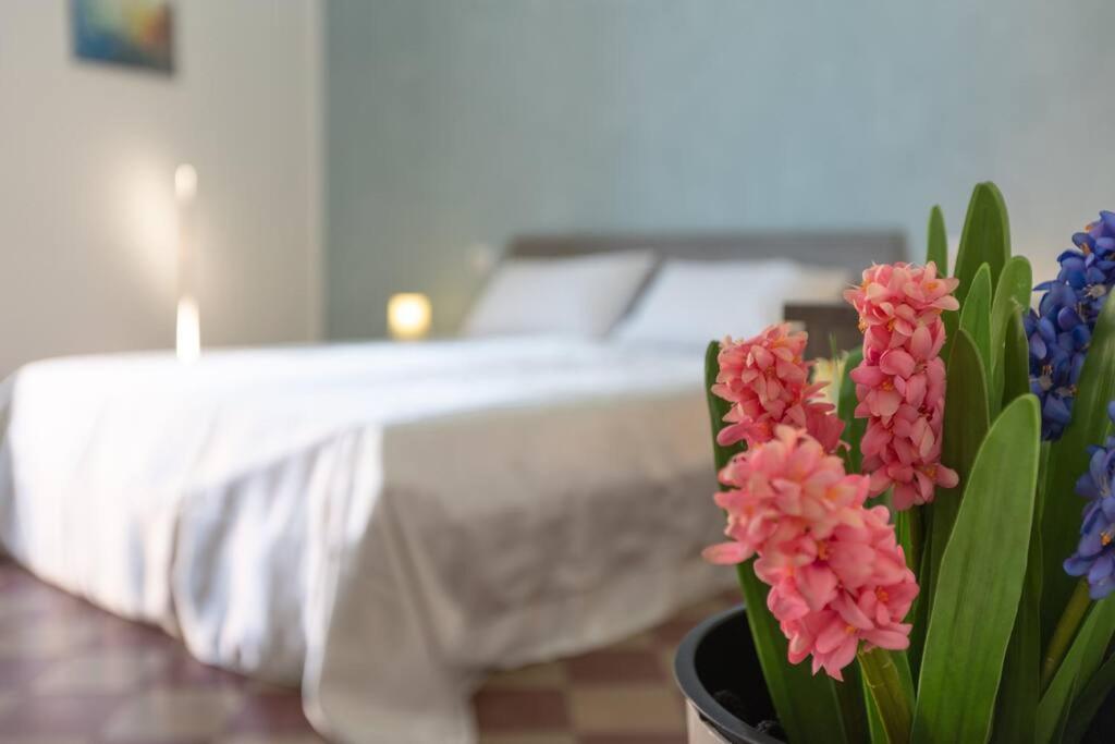 Apartment Anticitera Syracuse
